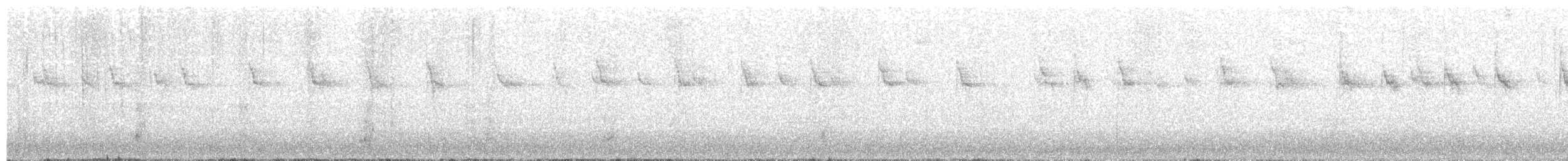 Белоухий колибри - ML88066691