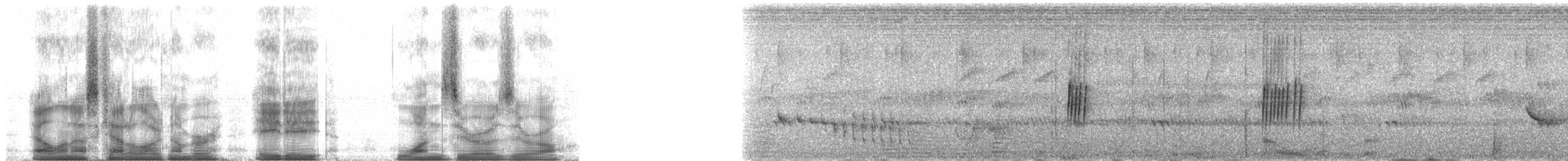 skarlagenamarant - ML88100