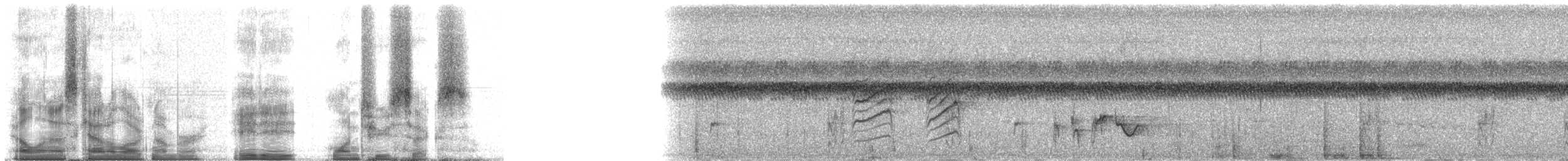 Cisticole du Luapula - ML88126