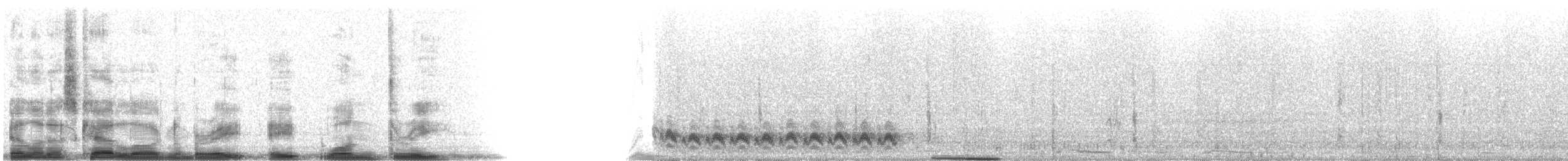 Troglodyte des cactus - ML8813