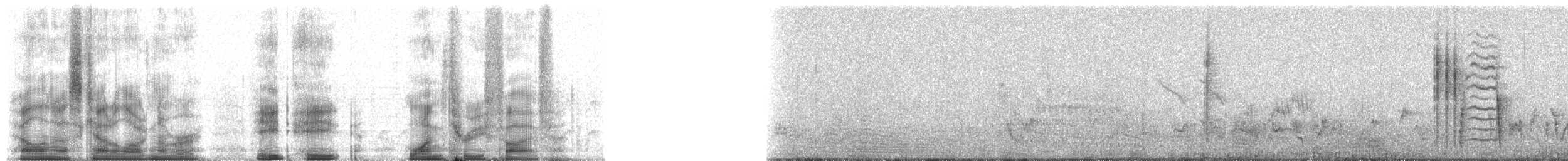 Camaroptère à tête grise (groupe brevicaudata) - ML88135
