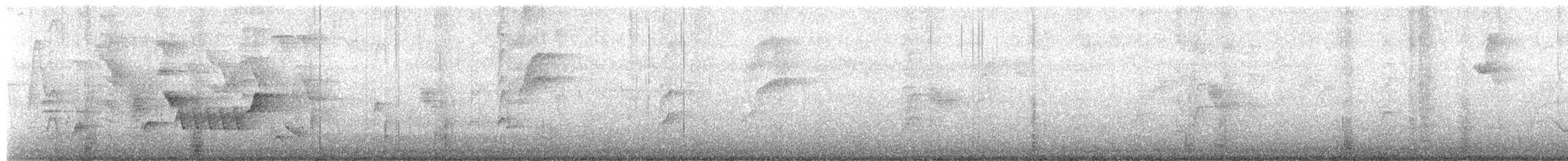 Southern House Wren - ML88140771