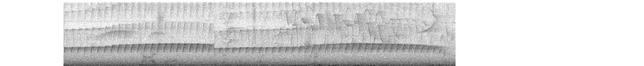 sølvmaurfugl - ML88141431