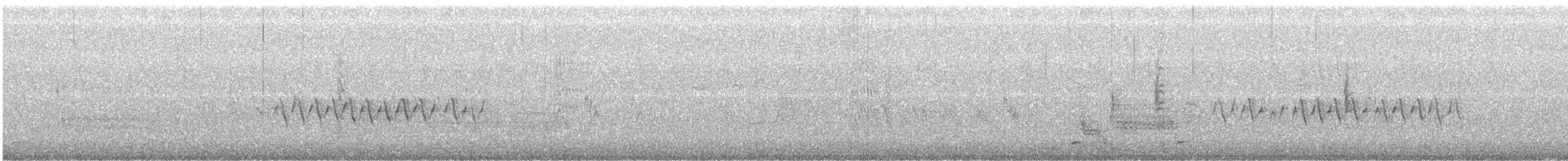 Kara Gözlü Junko (cismontanus) - ML88156221
