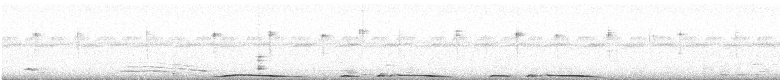 holub středoamerický - ML88172791