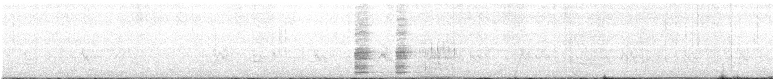 Зэрлэг гургуул - ML88200801