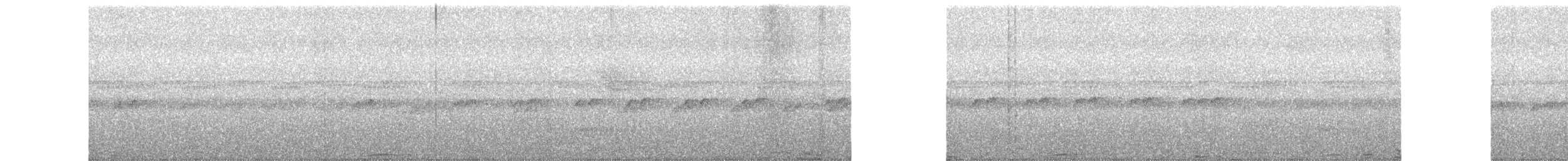 Trinidad Motmot - ML88285641