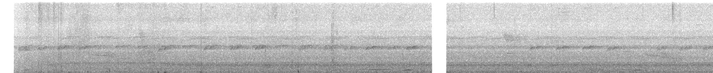 Trinidad Motmot - ML88285651