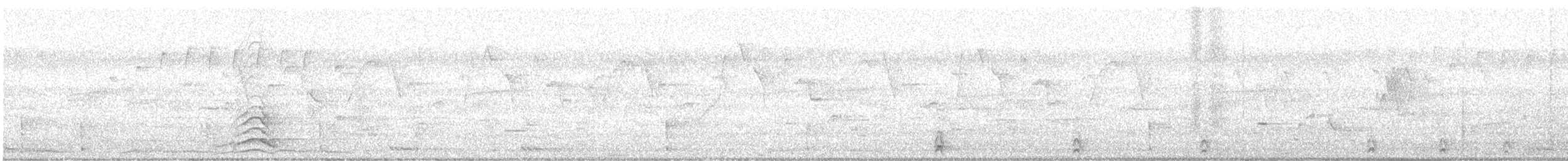 Malabar Gray Hornbill - ML88287131