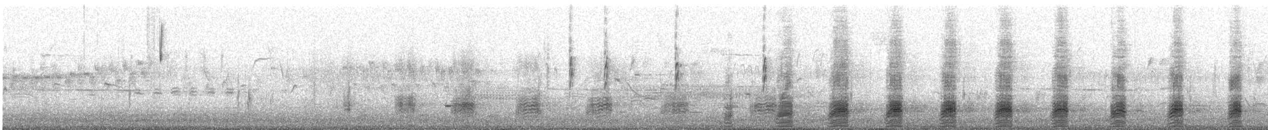 Stockente - ML88306211