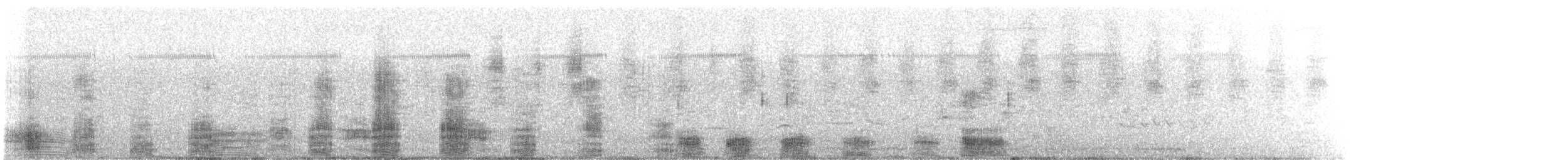 stråibis - ML88312631