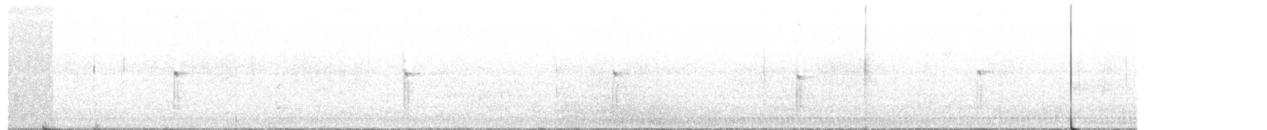 White-headed Woodpecker - ML88331181
