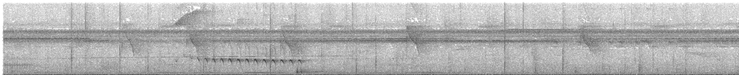 ワキジロヒメアリサザイ - ML88376711