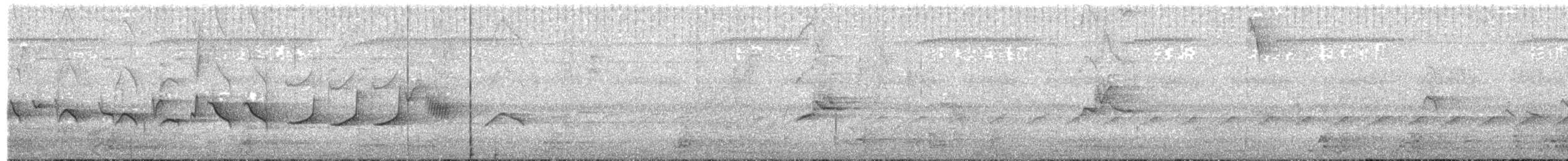 ヒメコメワリ - ML88379261