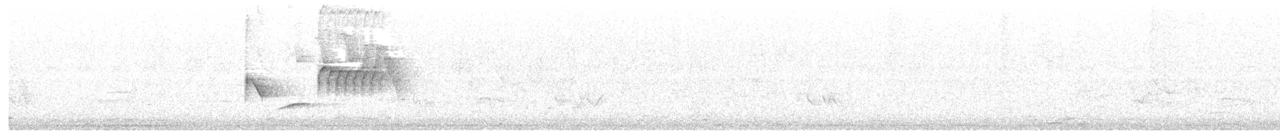 Spotted x Eastern Towhee (hybrid) - ML88387991