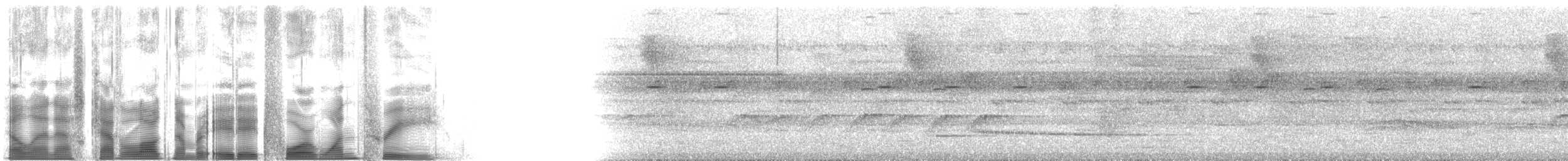 Braunkehl-Baumsteiger (uniformis) - ML88413