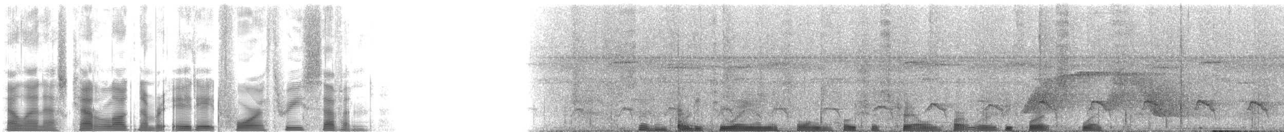 Waved Woodpecker (Scale-breasted) - ML88437