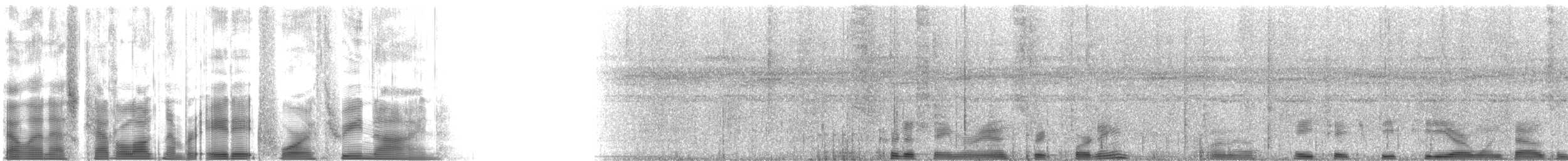 Waved Woodpecker (Scale-breasted) - ML88439