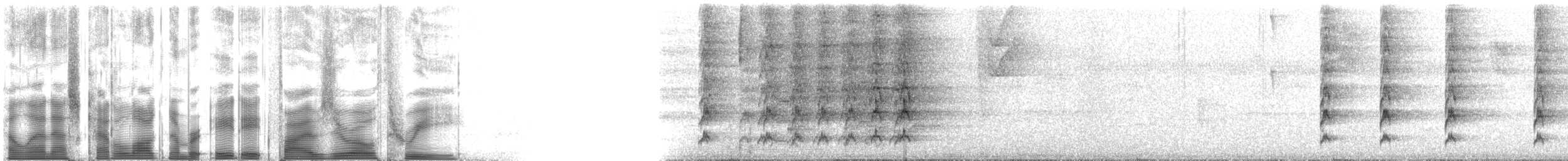 Santaremsittich (lucida) - ML88503