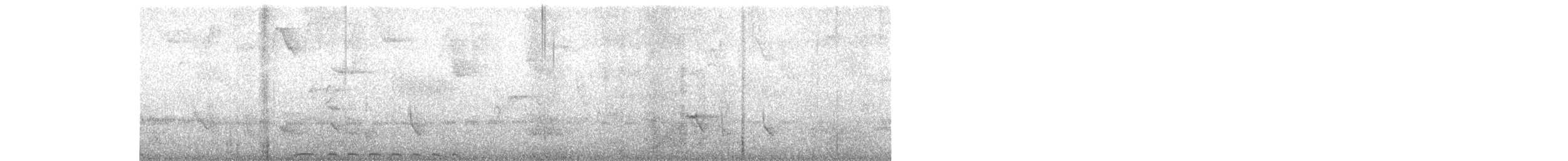 Trinidad Motmot - ML88517901