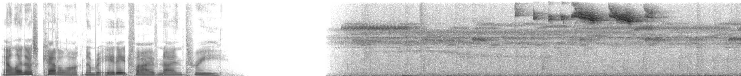 Pectoral Sparrow - ML88593