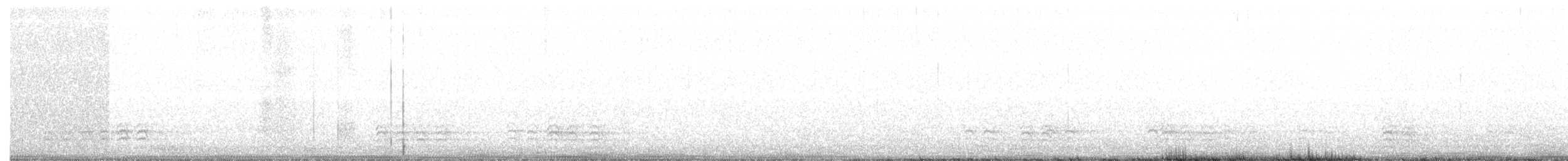 Weißbrustkleiber - ML88666111
