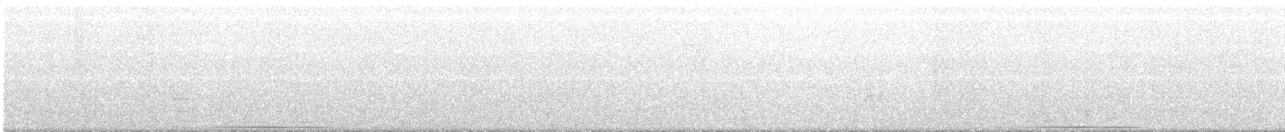 オオテリハウズラバト - ML88704271