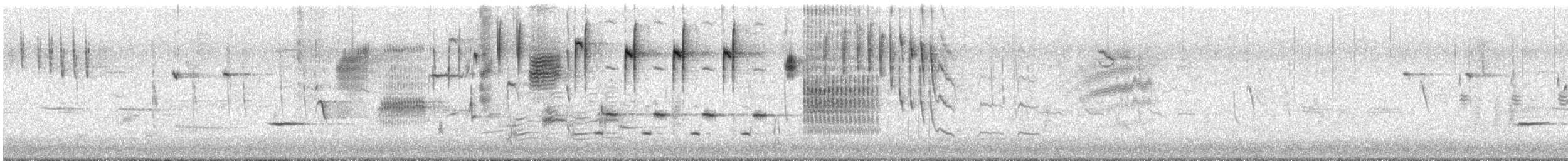 ウタスズメ（heermanni グループ） - ML88713131