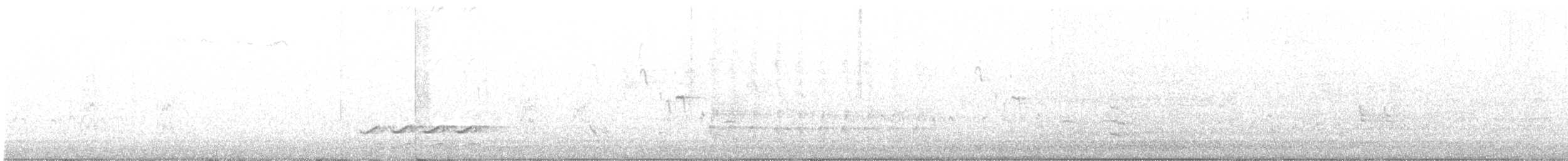 Каролинский поползень (aculeata/alexandrae) - ML88756781