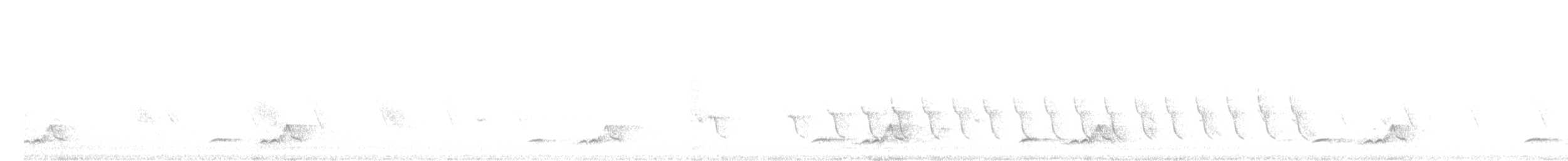 Schwarzkehl-Nachtschwalbe - ML88759671