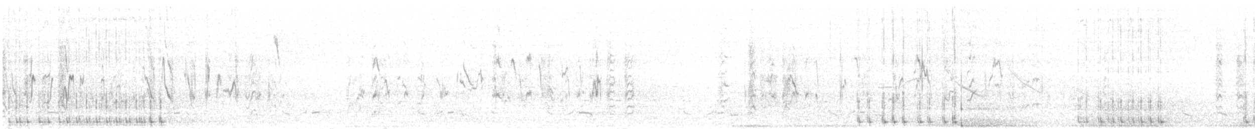 Schwarzzeisig - ML88760621