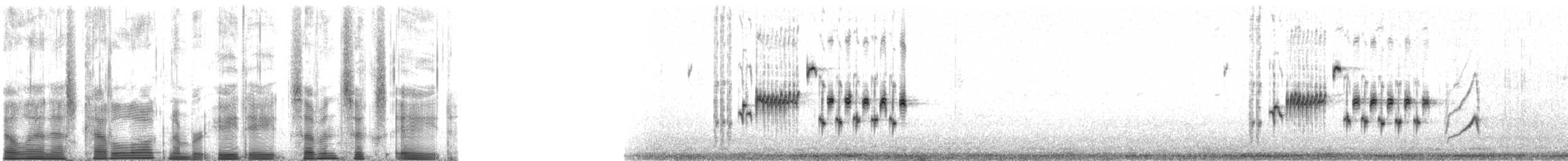 Black-throated Sparrow - ML88768