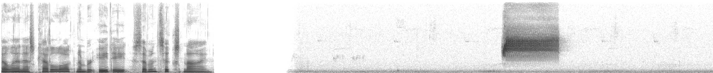 Spotted Towhee - ML88769