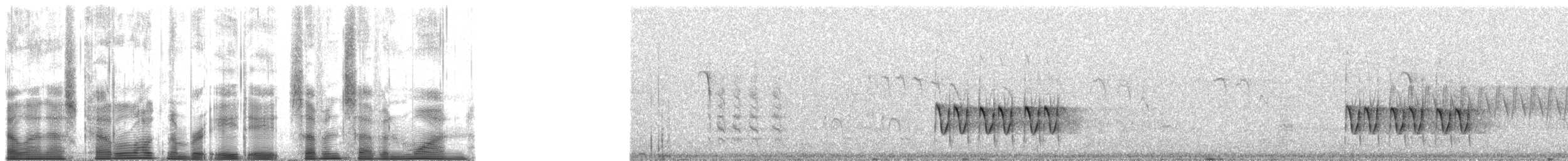 Oak Titmouse - ML88771