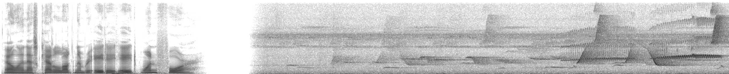 Мурав’янка-куцохвіст бразильська (підвид nigrigula) - ML88814
