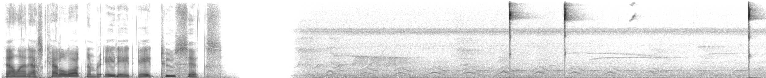 Pectoral Sparrow - ML88826