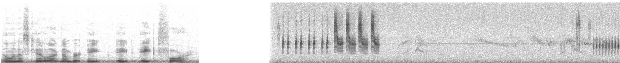 engsmett (alticola) - ML8884