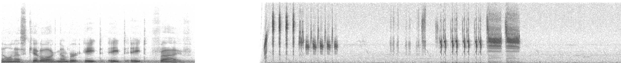 engsmett (alticola) - ML8885