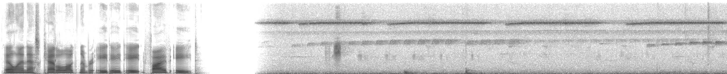 Masked Tityra - ML88858