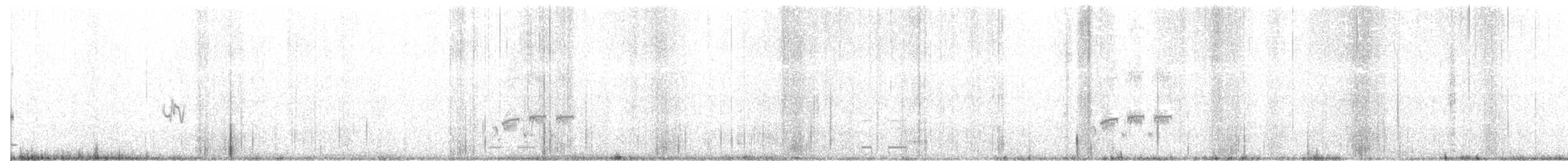 ヨーロッパオオモズ（lahtora） - ML88861811