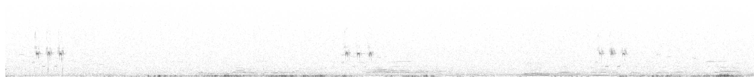 Сорокопуд сірий (підвид lahtora) - ML88861821