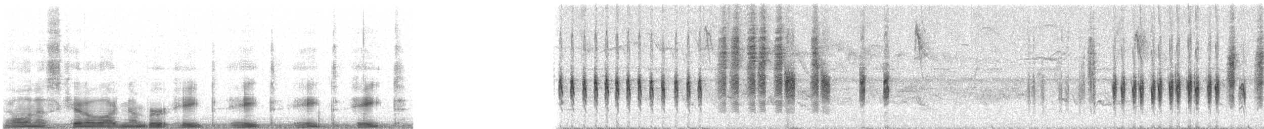 engsmett (alticola) - ML8888