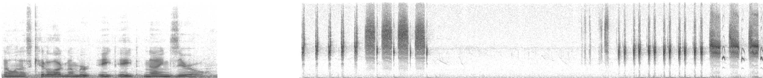 engsmett (alticola) - ML8890