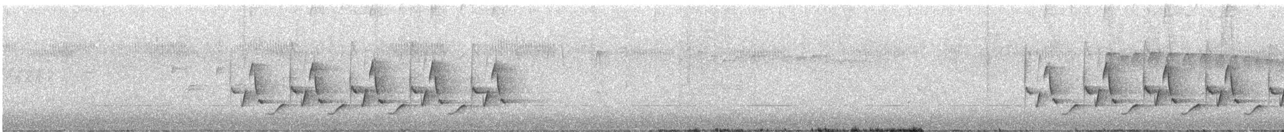 Troglodyte de Caroline - ML88929631