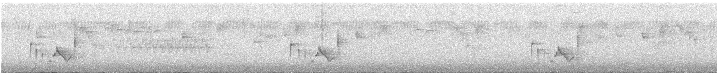 Viréo aux yeux blancs - ML88930041