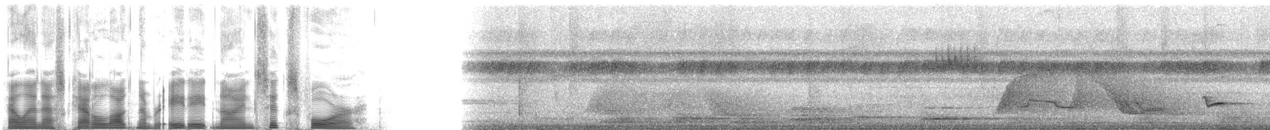 ホークスウェルムジツグミ - ML88964