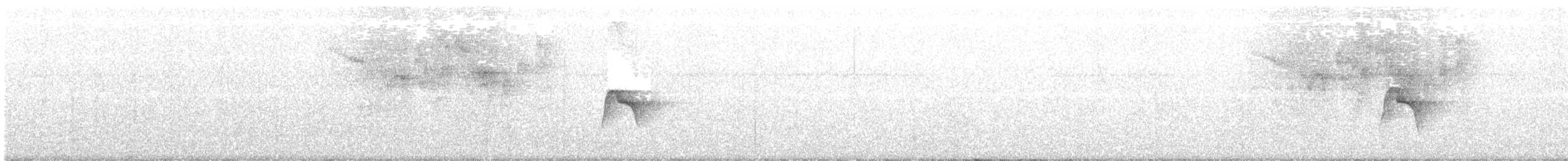Caribbean Elaenia - ML89059261