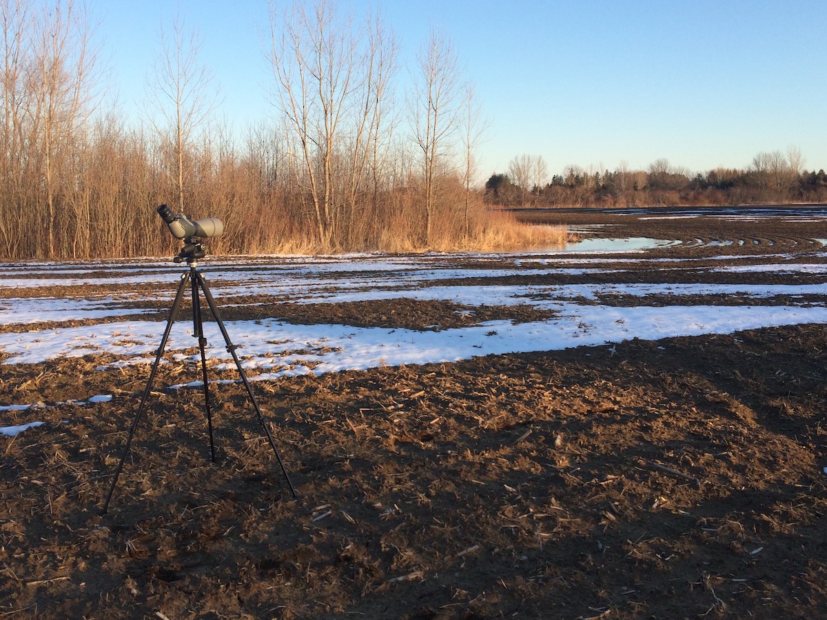 Nespecifikováno - Rex Martin