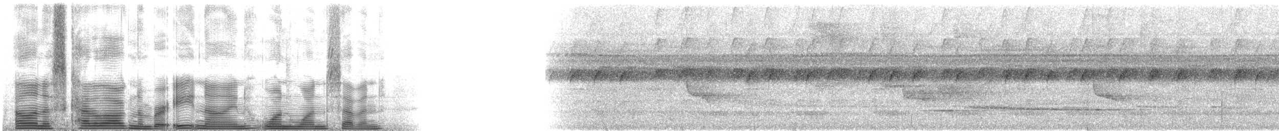 Braunkehl-Baumsteiger (uniformis) - ML89117