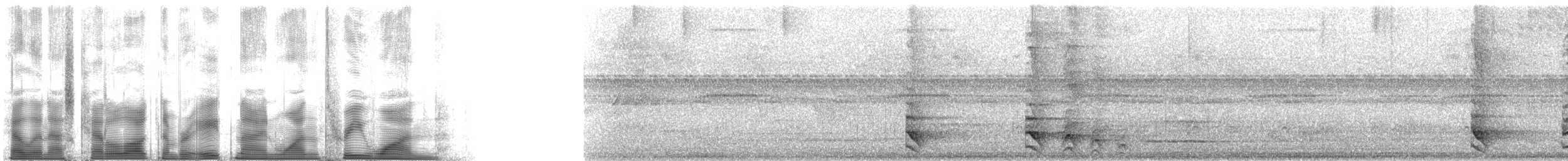 Barred Forest-Falcon - ML89131